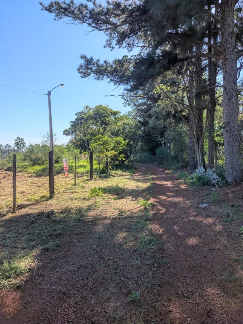 Foto de (V194) Hermoso terreno en Pueblo Chico! Ideal para construir, imagen 5