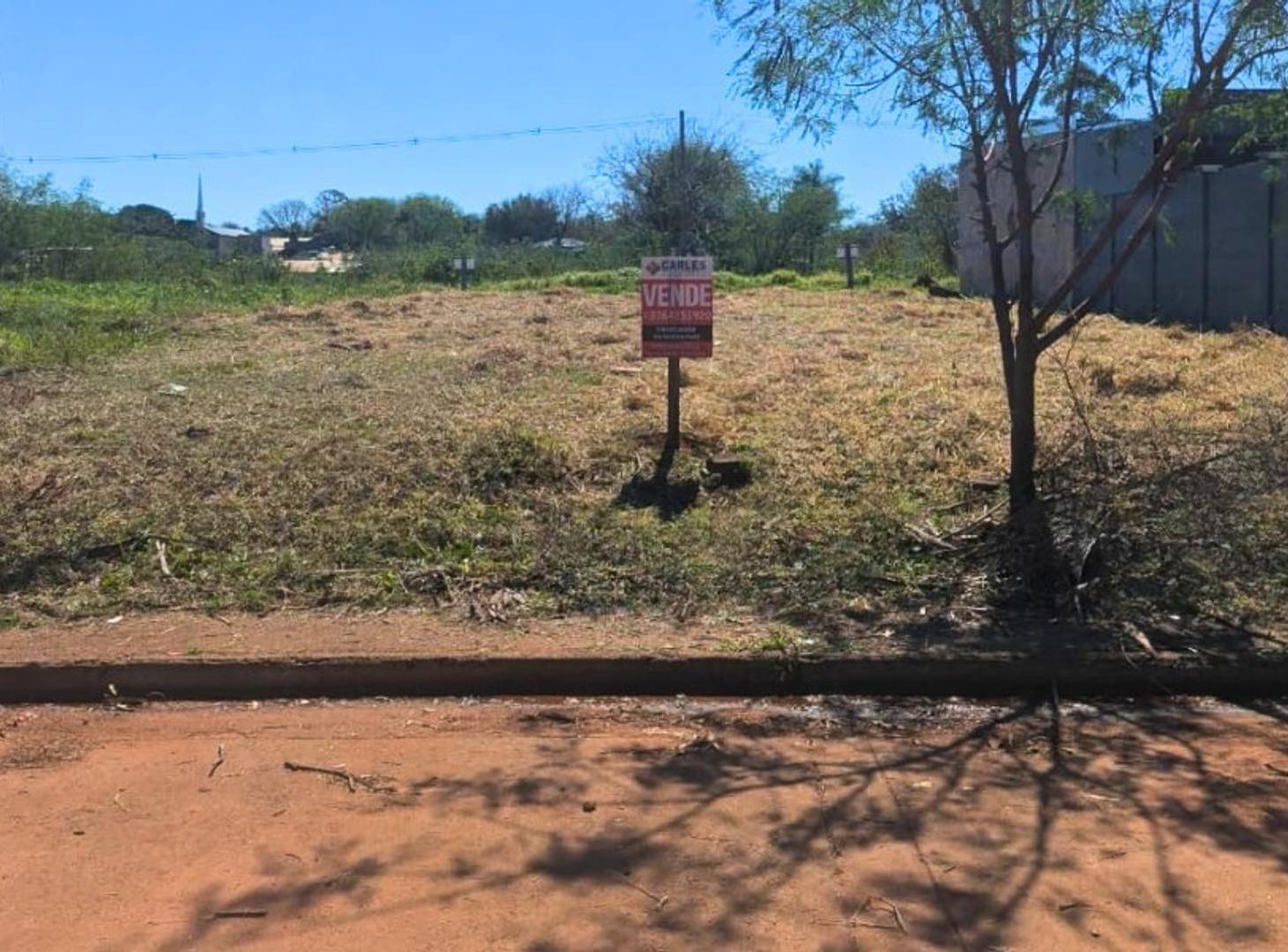 Foto de (V157) Amplio terreno en ZONA BARRIO JARDÍN, imagen 3