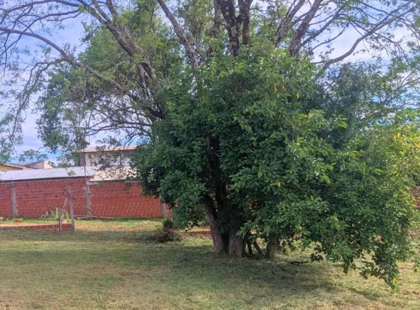 Foto de (V169) TERRENO EN ESQUINA IDEAL PARA VIVIENDA - GARUPA, imagen 4