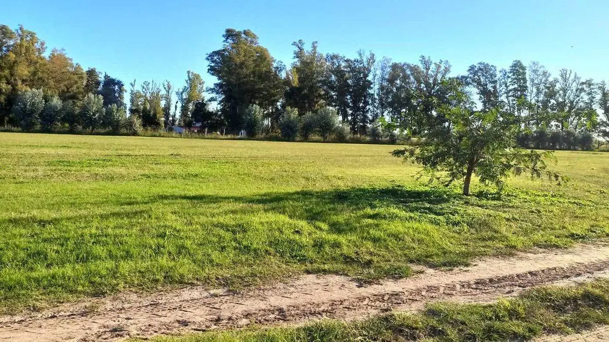 "Venta Parcela Chacras San Andres/E.2 VILLA RUIZ" 3