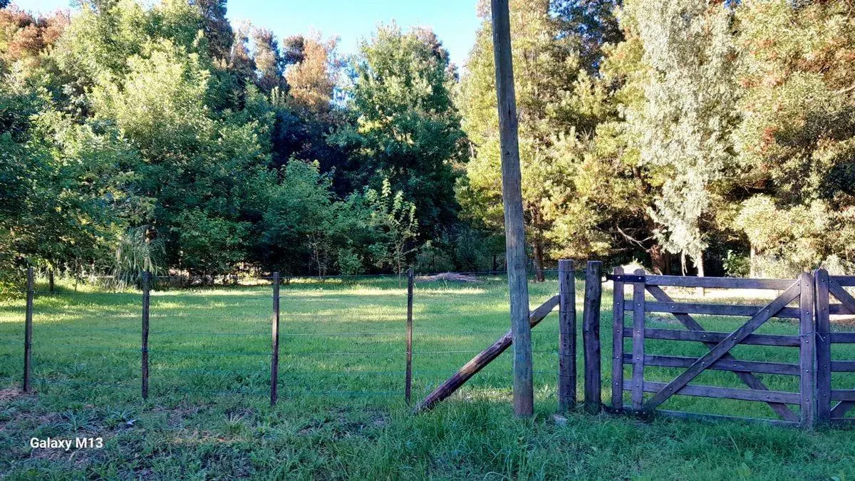 VENTA-LOTE 800M2-FINANCIACION-CHASCOMÚS 2
