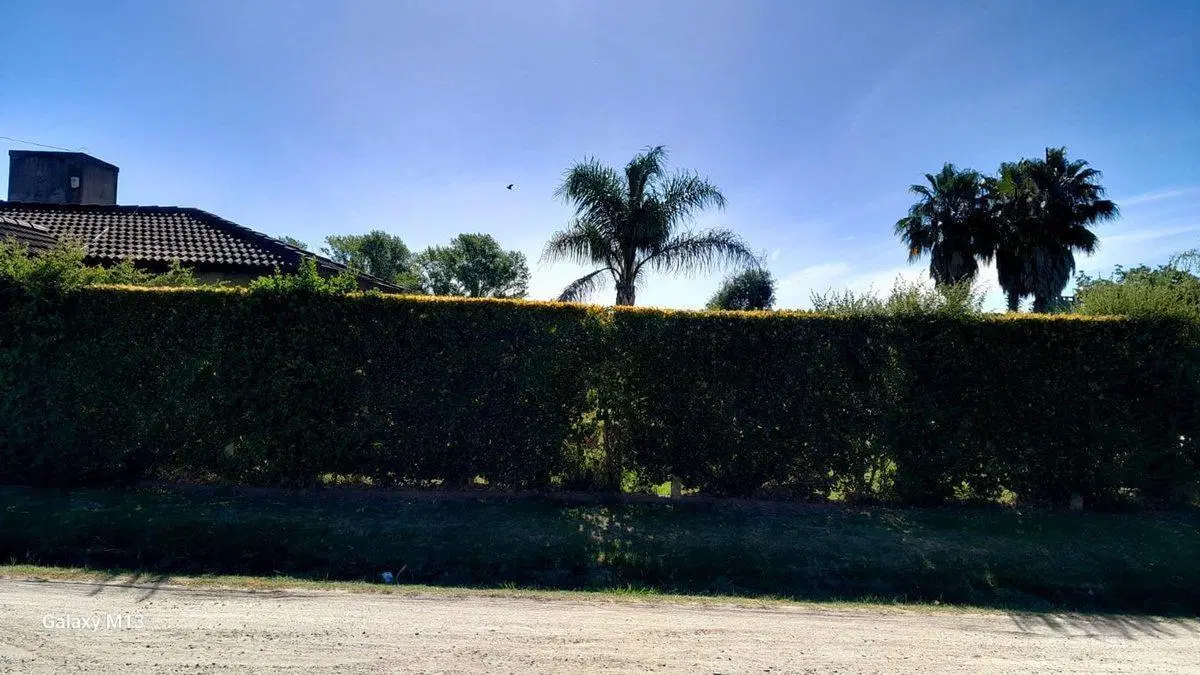 VENTA-CASA C/PARQUE 1600 M2 Y PILETA-CHASCOMUS 3
