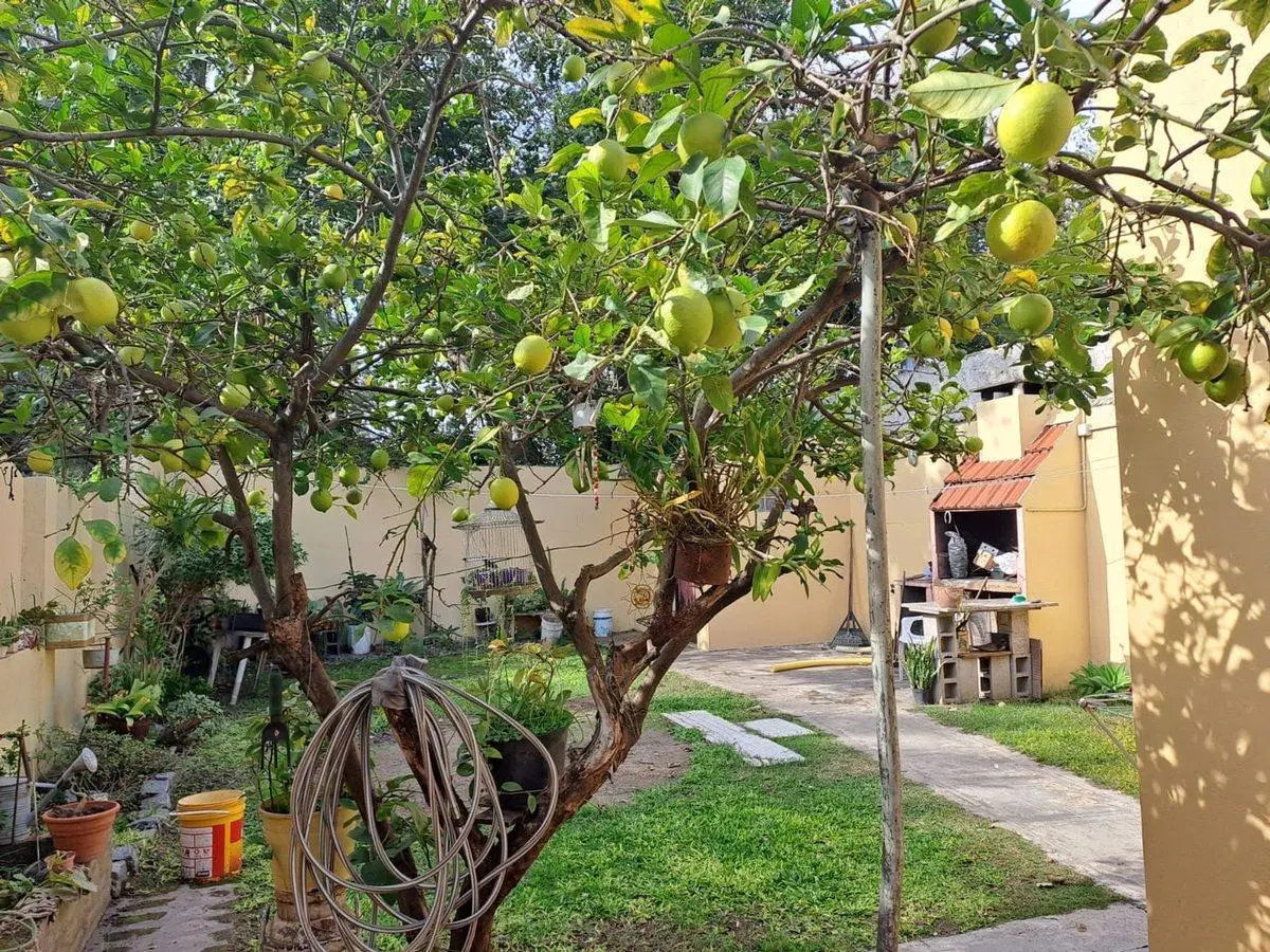 VENTA CASA 4 Amb. C/ PARQUE- 280m - LANUS ESTE 5