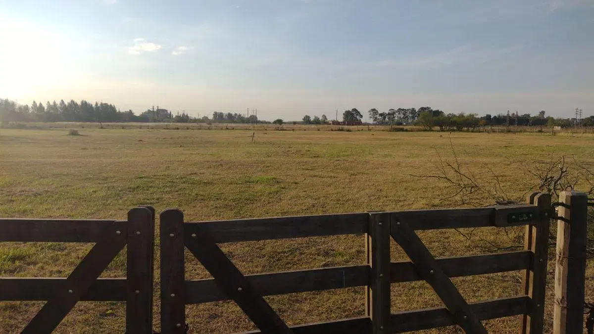 Lote de 10.000 metros en Chascomús 3