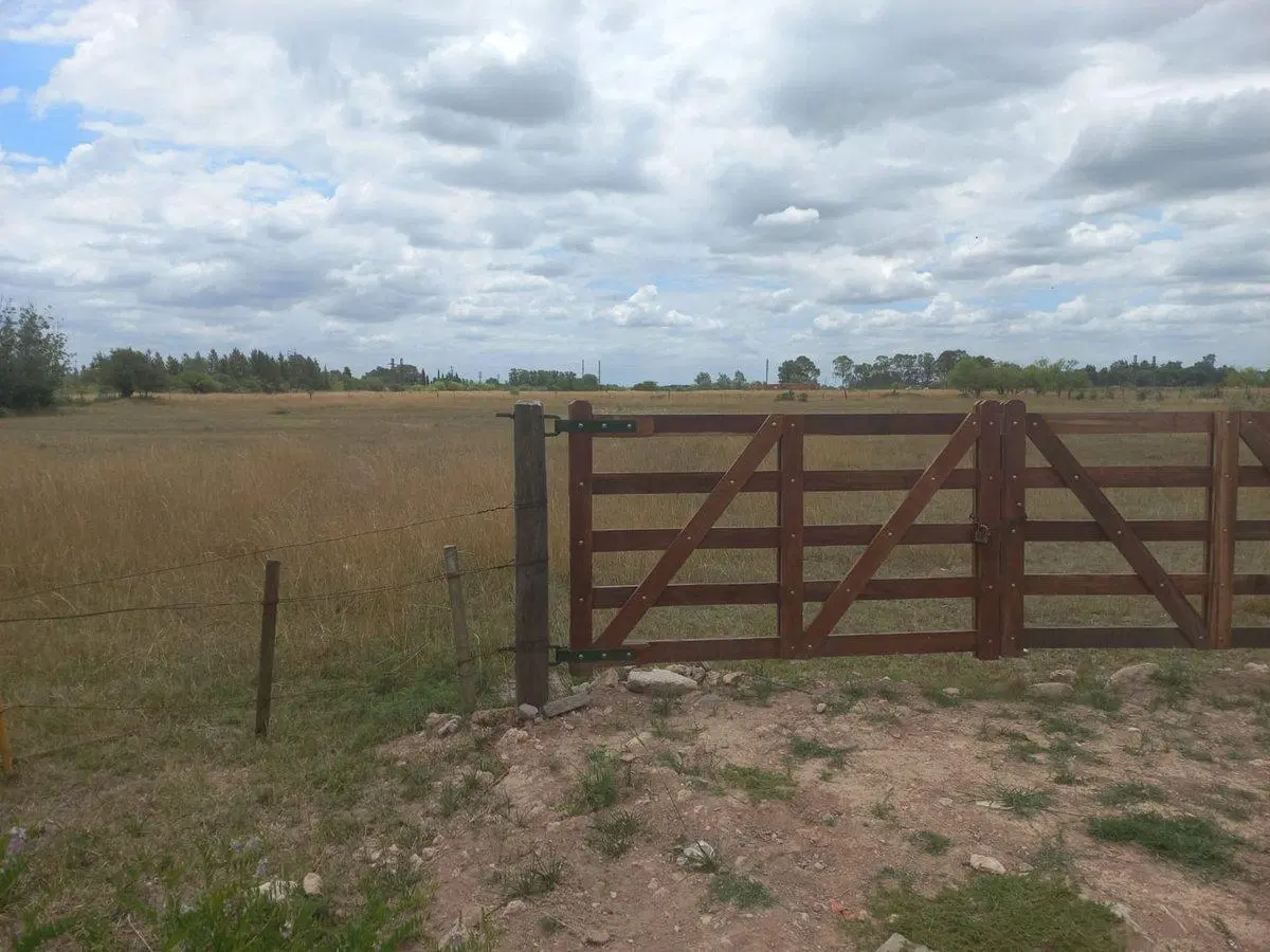 Lote de 10.000 metros en Chascomús 5