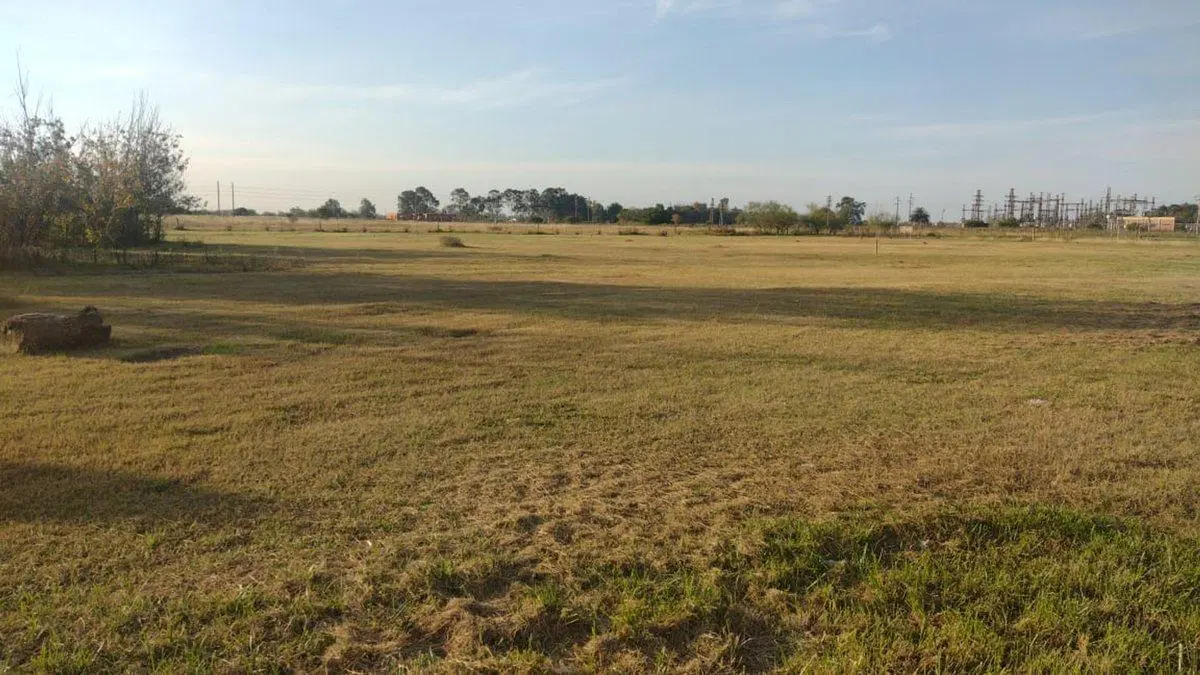 Lote de 10.000 metros en Chascomús 4