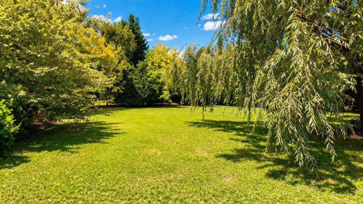 VENTA CASA 3 AMB SOBRE LOTE 2400 MTS-CHASCOMÚS 4