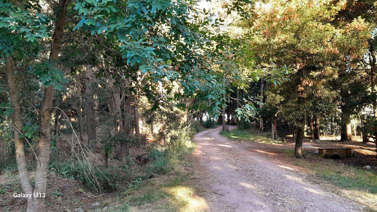 VENTA-LOTE 800M2-FINANCIACION-CHASCOMÚS