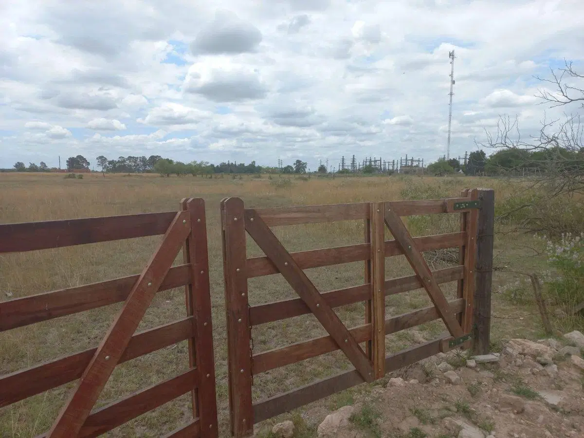 Lote de 10.000 metros en Chascomús 2
