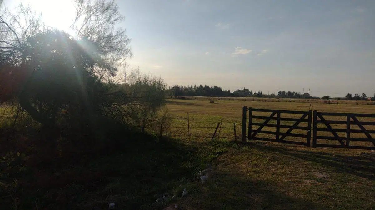 Lote de 10.000 metros en Chascomús 4