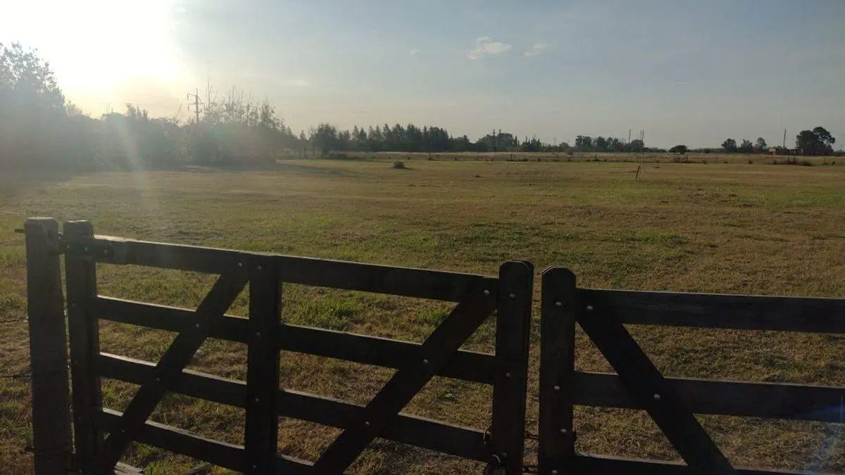 Lote de 10.000 metros en Chascomús 5