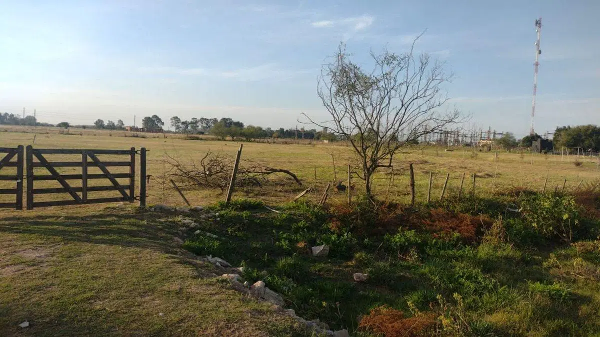 Lote de 10.000 metros en Chascomús 3