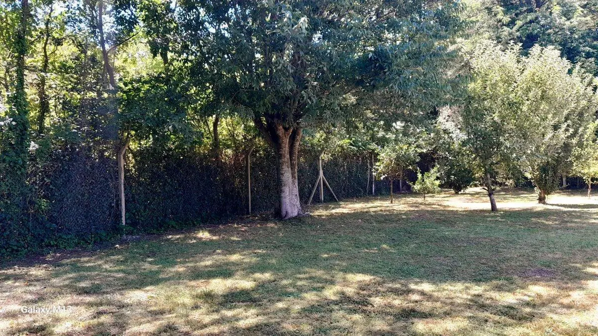 VENTA-CASA C/PARQUE 1400m2 Y PILETA-CHASCOMÚS 2