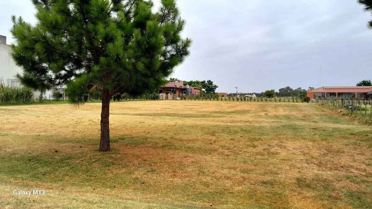 VENTA-LOTE 1750 M2-BARRIO EL MIRADOR-CNEL BRANDSEN 5
