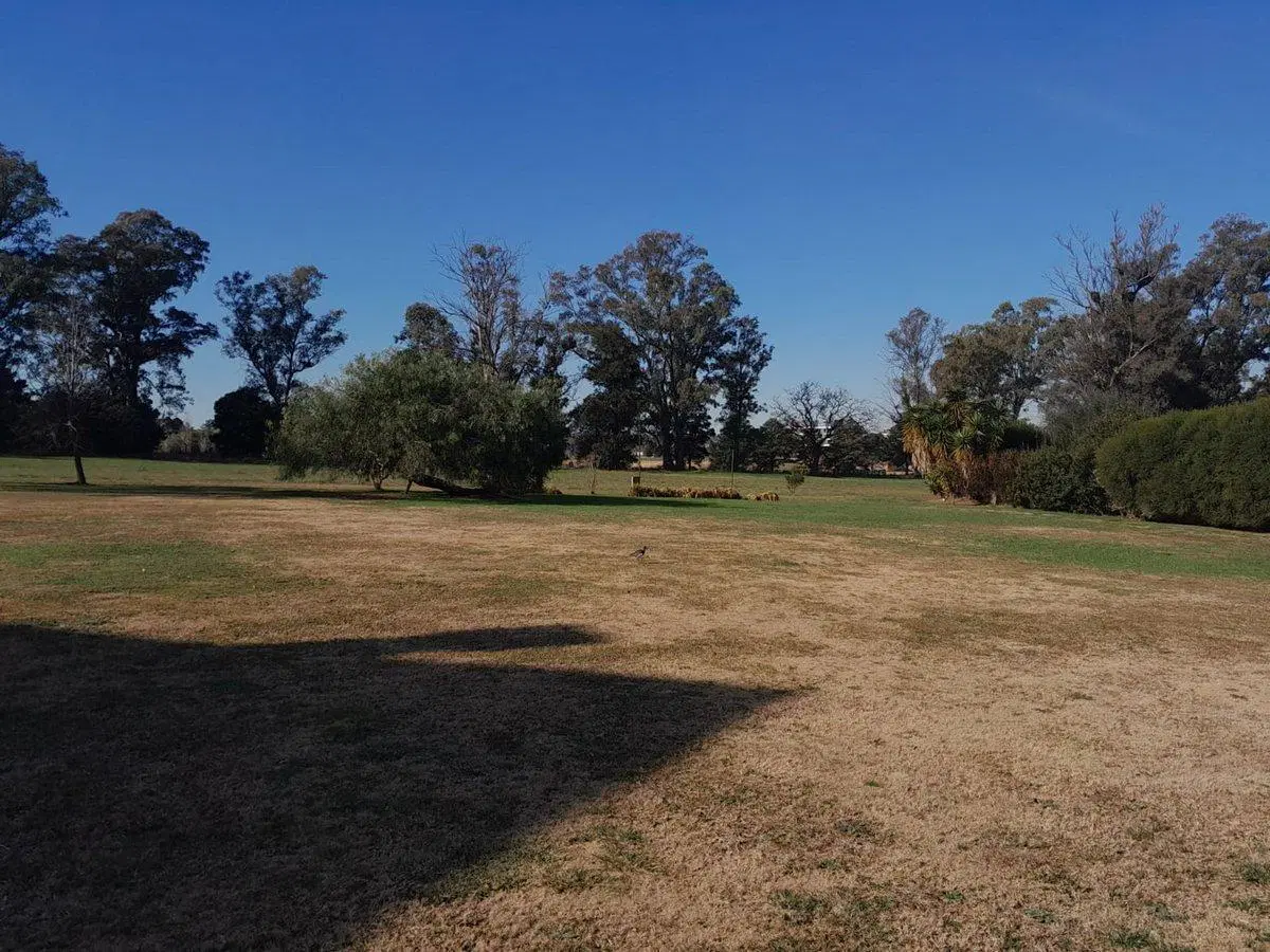 VENTA LOTE 1000 MTS - PILAR GOLF - B. PEVERO 8