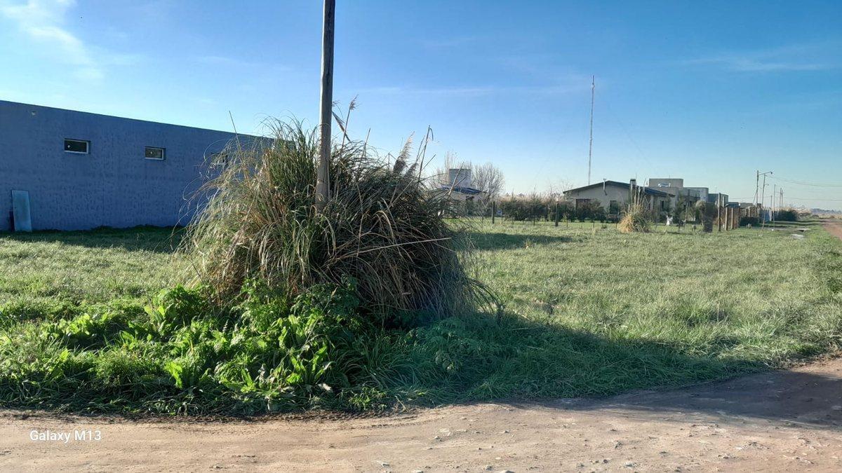 Foto de VENTA-LOTE 790m2-INVERSIÓN-CHASCOMÚS, imagen 3