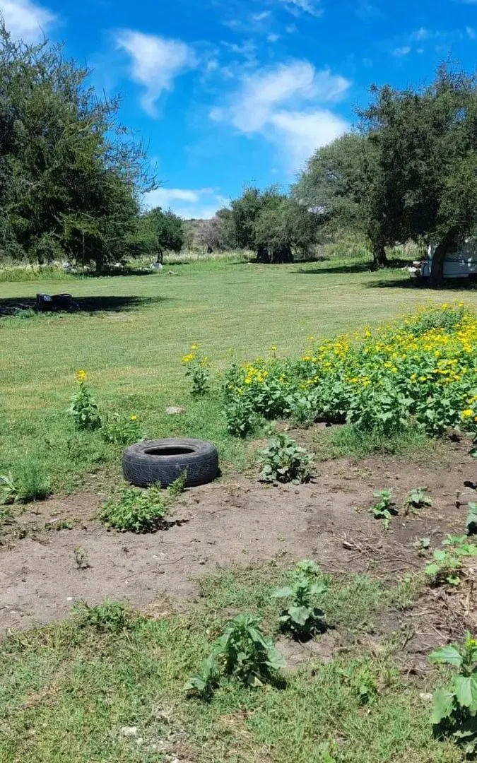 VILLA DE SOTO CAMPO GANADERO 5