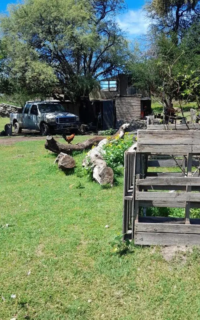 VILLA DE SOTO CAMPO GANADERO 3