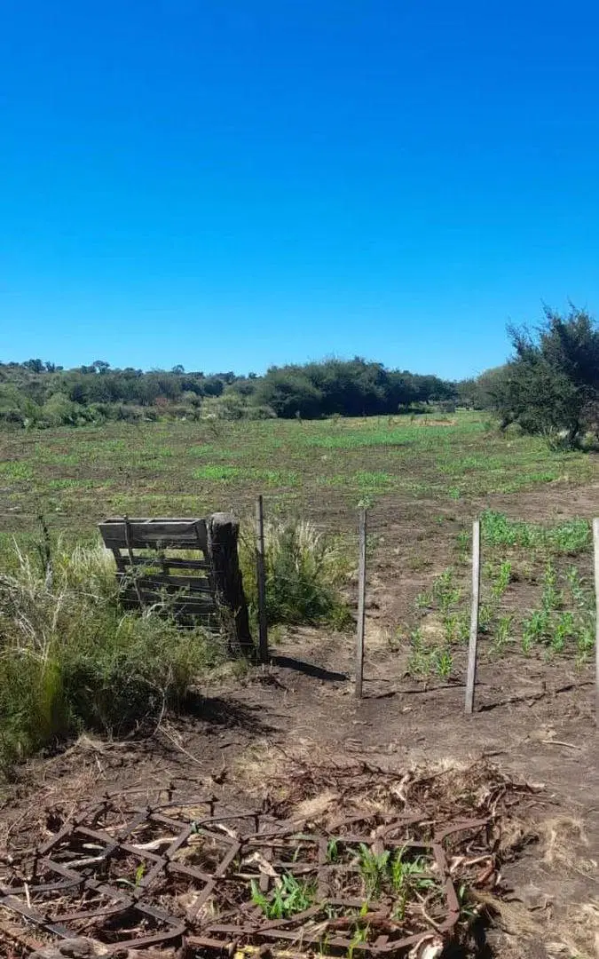 VILLA DE SOTO CAMPO GANADERO 4
