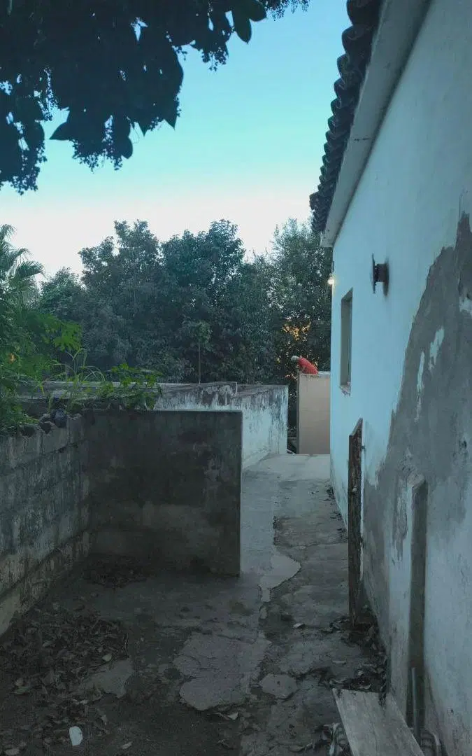 Rio Ceballos A RECICLAR 1210M2 3