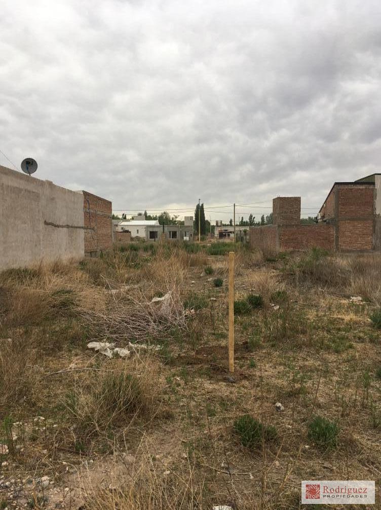 Foto de Terreno en Barrio Costa del Rio, Centenario, imagen 2