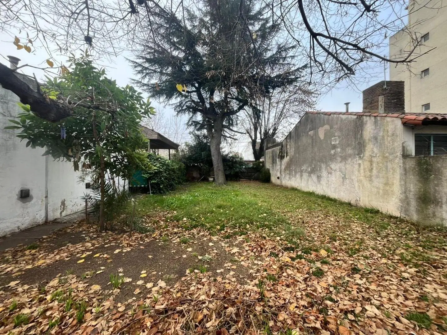 Lote terreno edificio en el centro de Ituzaingó Norte 485m2 5