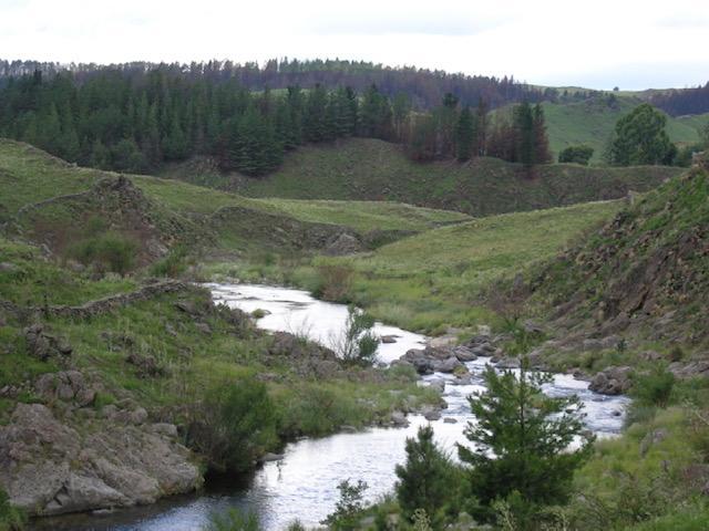 Vendo Campo/ Cabañas 10,5 Ha San Miguel del Rio 5