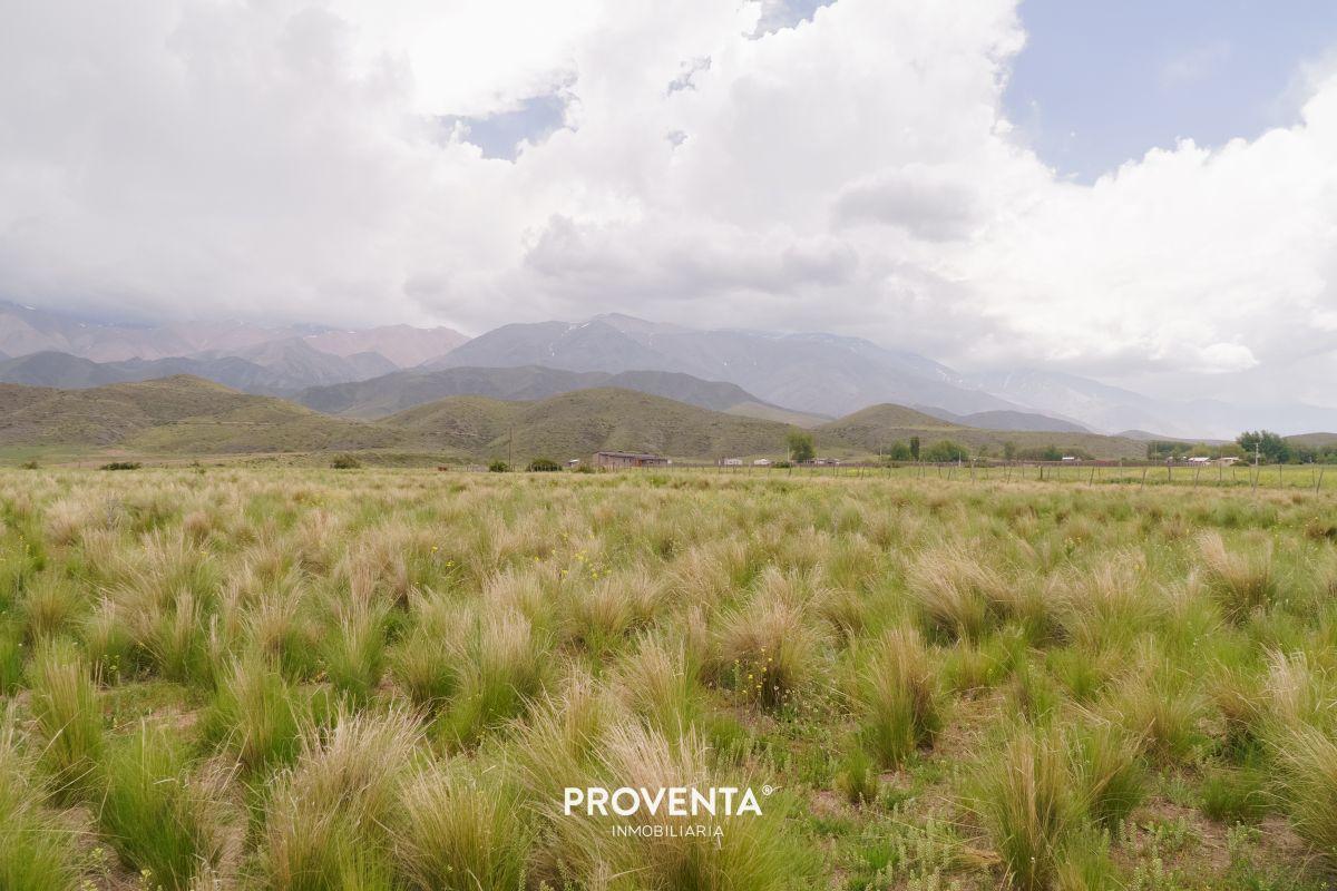 Foto de LOTE EN VENTA EN LA CARRERA, TUPUNGATO,MENDOZA, imagen 4