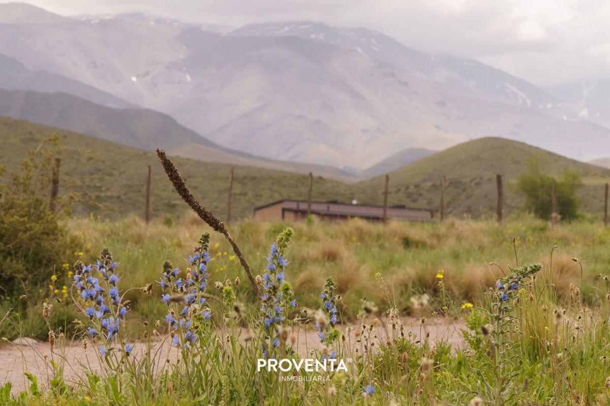 Foto de LOTE EN VENTA EN LA CARRERA, TUPUNGATO,MENDOZA, imagen 1