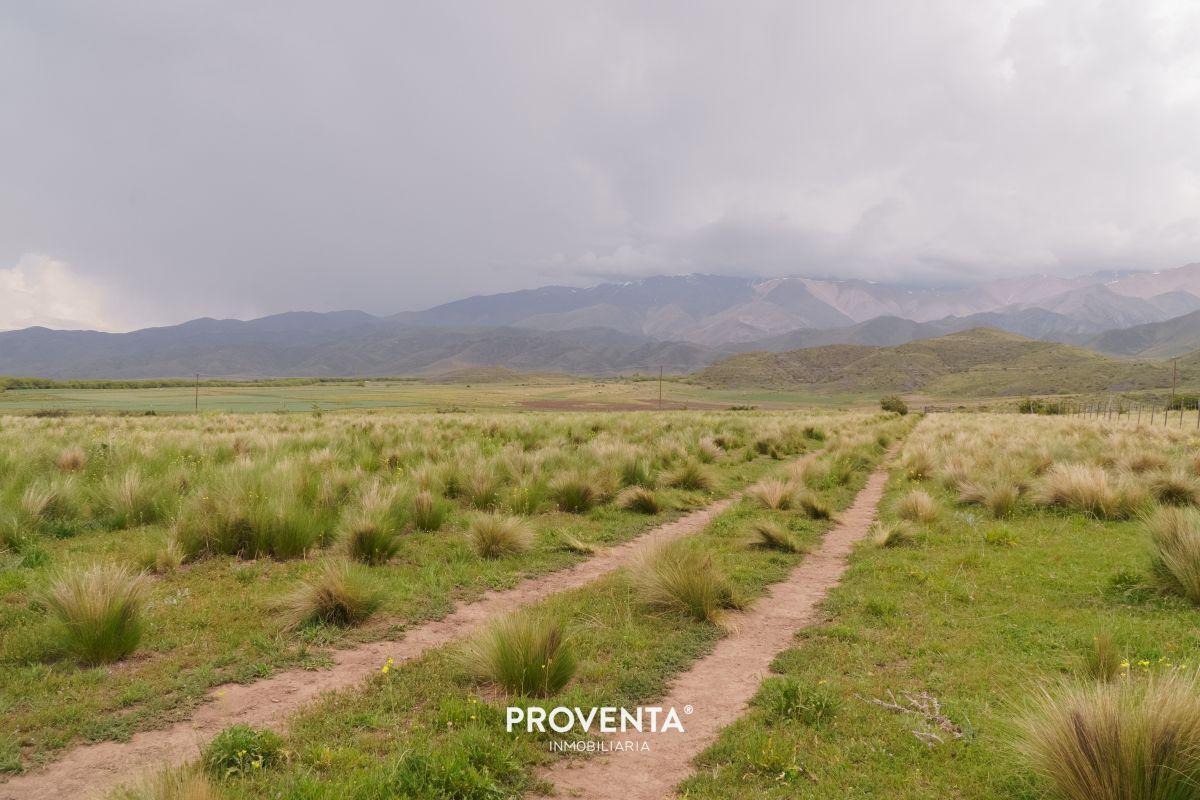 Foto de LOTE EN VENTA EN LA CARRERA, TUPUNGATO,MENDOZA, imagen 5