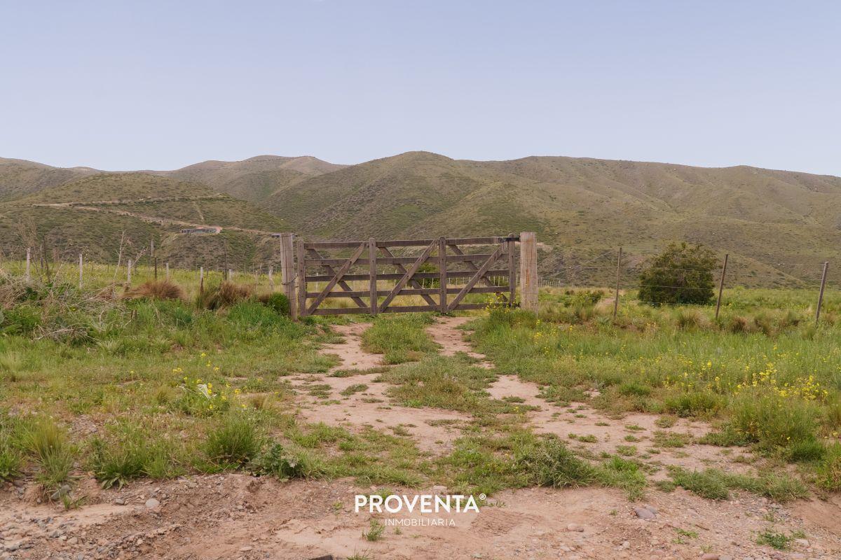 Foto de LOTE EN VENTA EN LA CARRERA, TUPUNGATO,MENDOZA, imagen 3