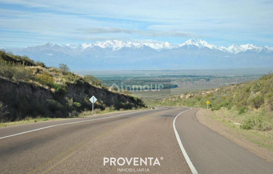 Foto de FINCA EN VENTA EN LUJAN DE CUYO, imagen 2