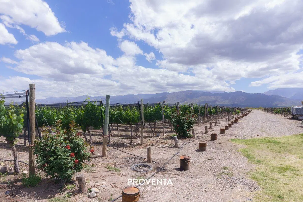 Finca Modelo en El Cepillo, San Carlos 2
