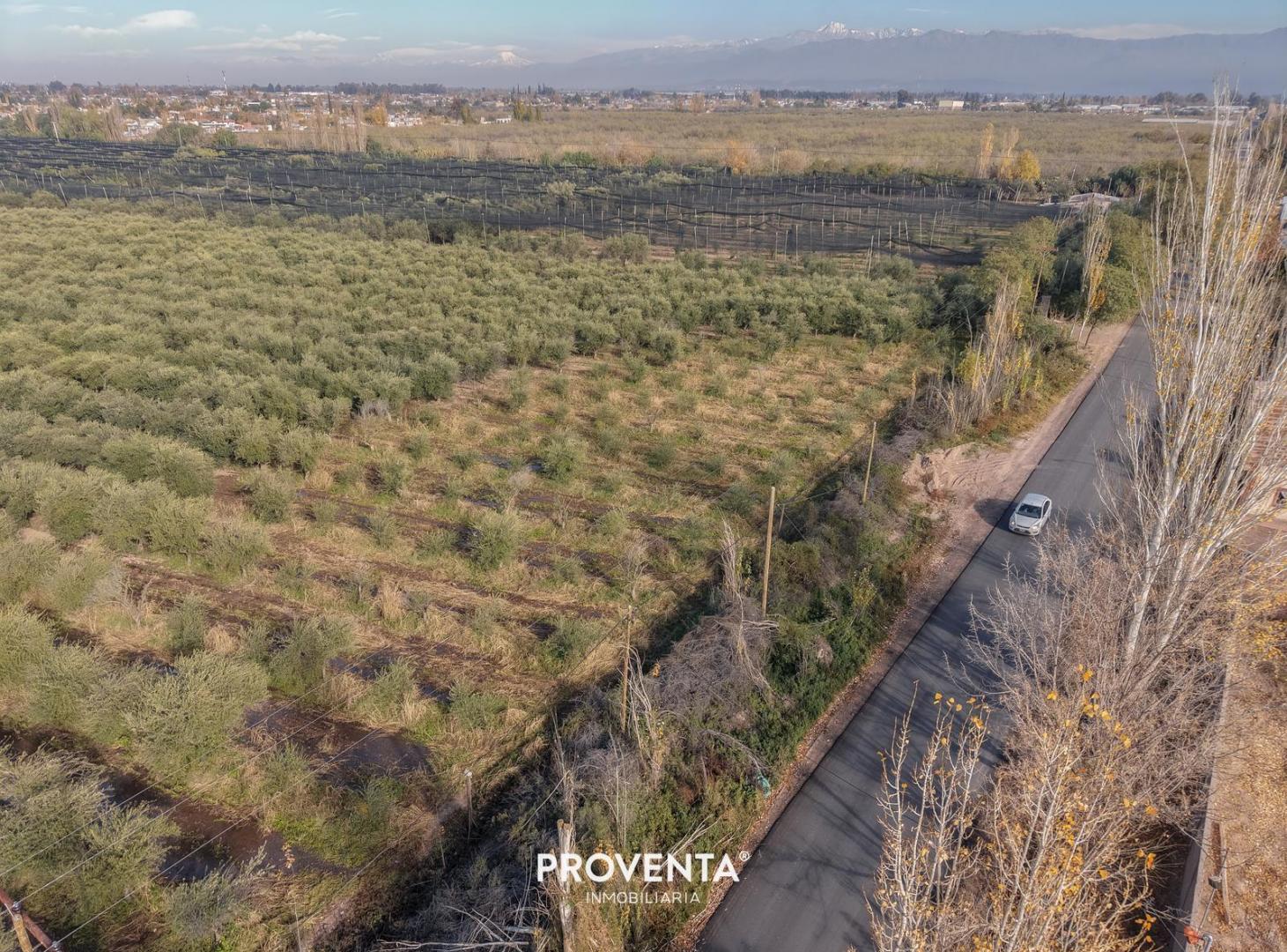 Foto de LOTE VENTA PARA GALPÓN INDUSTRIAL CALLE MONTEAGUDO CORRALITOS, MAIPU, imagen 4