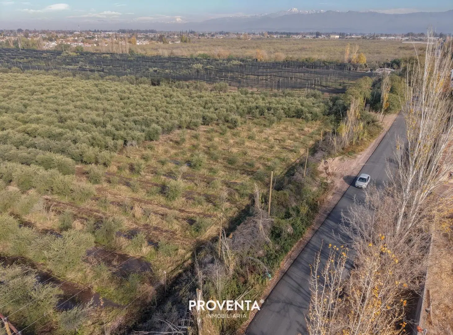 LOTE EN VENTA ALMA OLIVA, CORRALITOS, MAIPU, MENDOZA 4