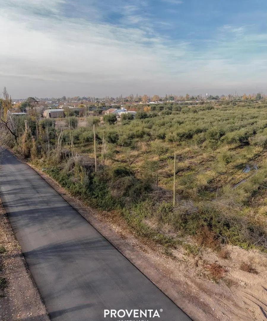 LOTE EN VENTA ALMA OLIVA, CORRALITOS, MAIPU, MENDOZA 5