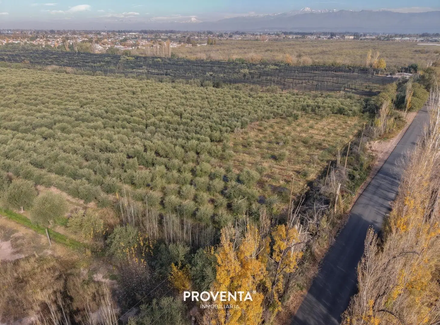 LOTE EN VENTA ALMA OLIVA, CORRALITOS, MAIPU, MENDOZA 3