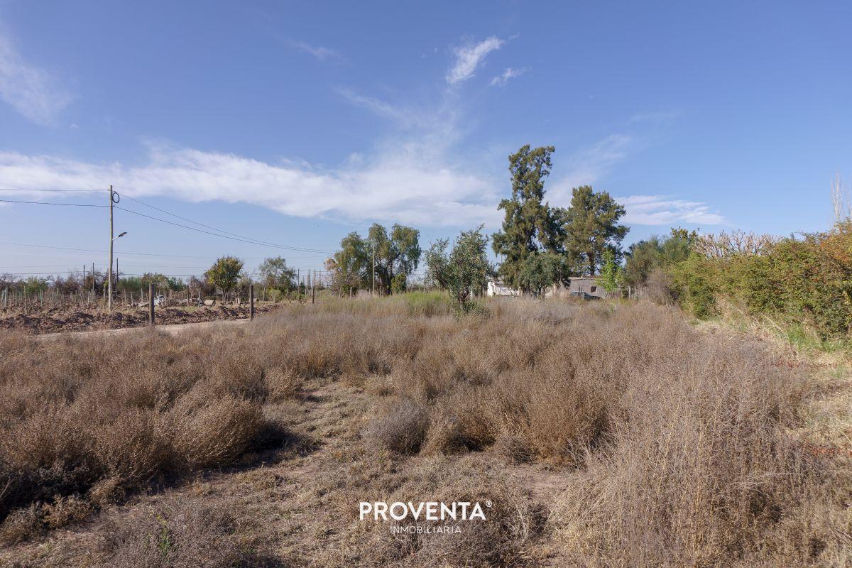 Foto de LOTES EN VENTA EN VISTALBA, LUJÁN DE CUYO, imagen 1