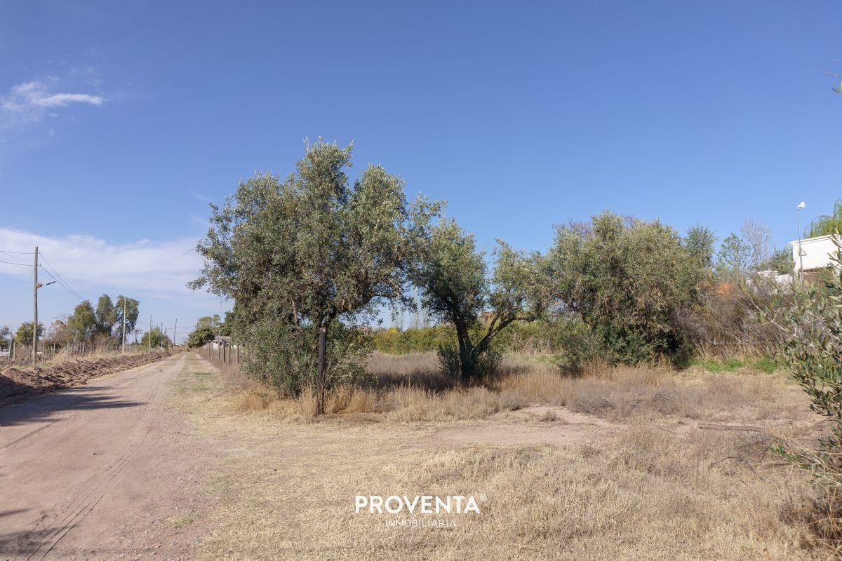 Foto de LOTES EN VENTA EN VISTALBA, LUJÁN DE CUYO, imagen 2