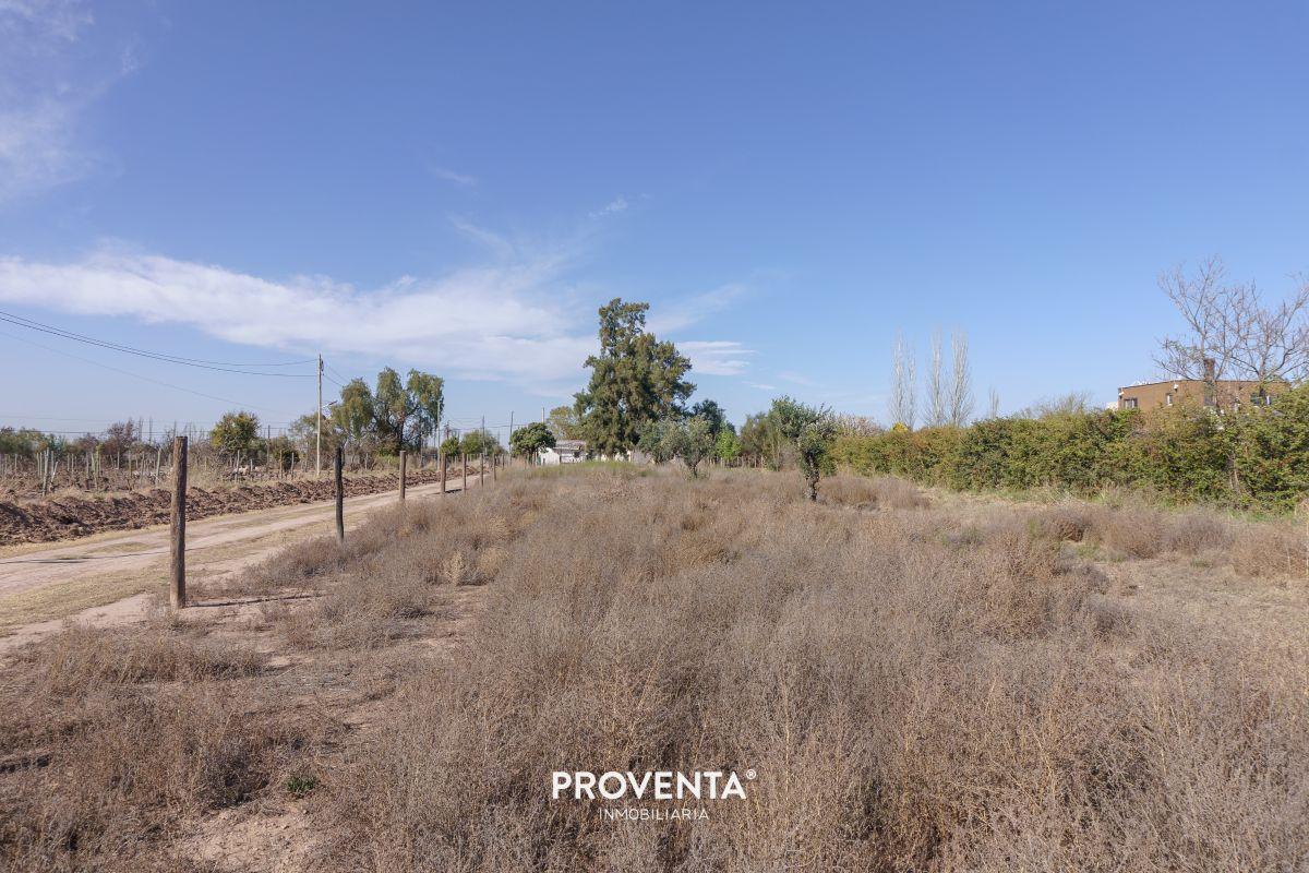 Foto de LOTES EN VENTA EN VISTALBA, LUJÁN DE CUYO, imagen 3