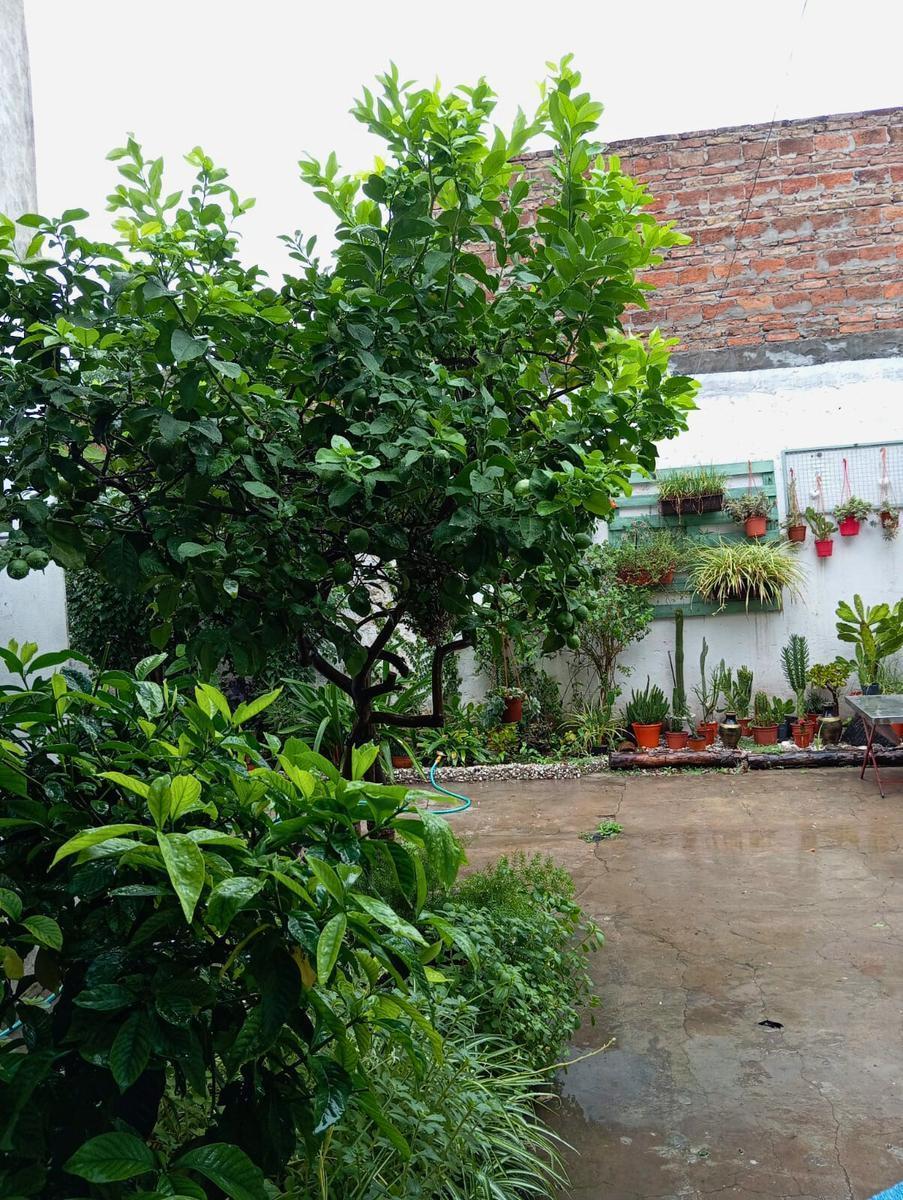 Casa en Belgrano 4