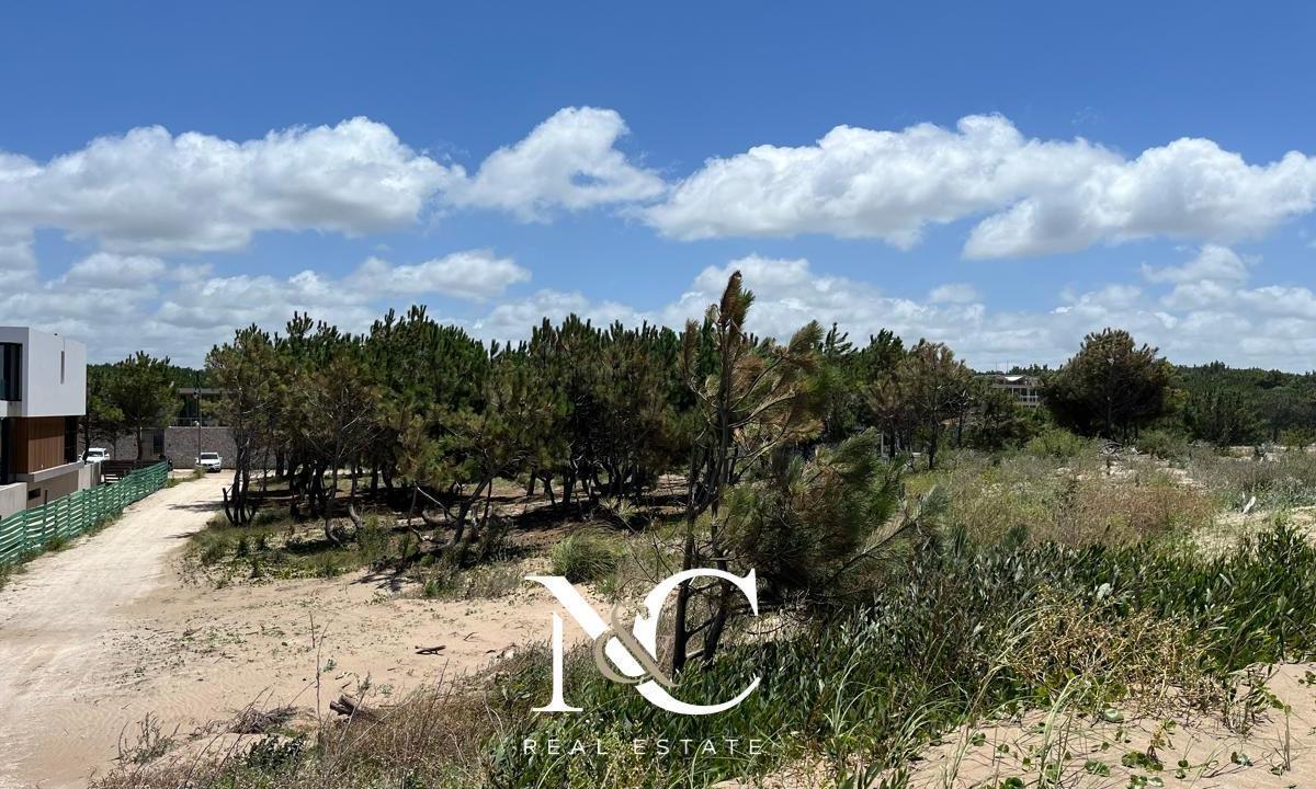 Terreno Lote en Venta en Marítimo II, Primera Línea de Mar 5