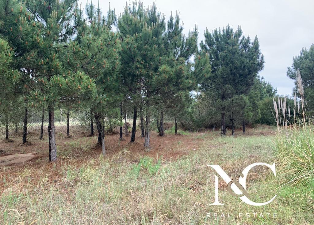 Foto de Terreno lote en venta en Costa Esmeralda Golf II, imagen 1