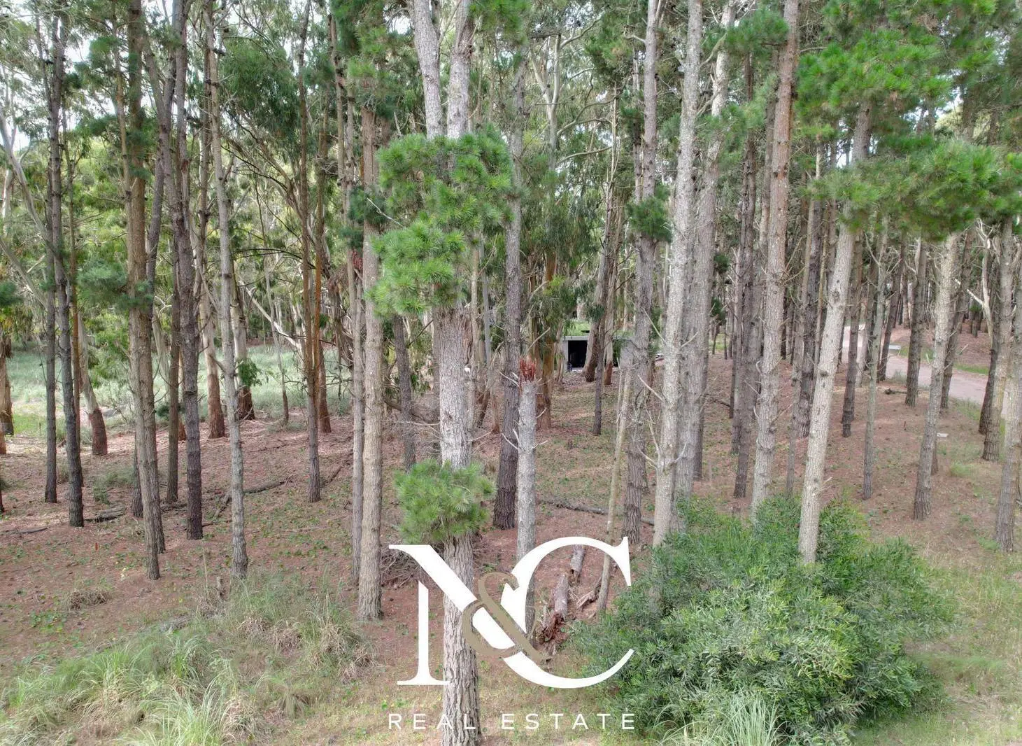 Lote en venta en Costa Esmeralda, muy arbolado 5