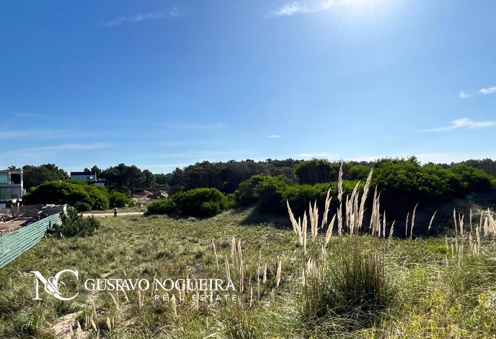 Foto de Lote Terreno en venta en Costa Esmeralda primera linea, imagen 5