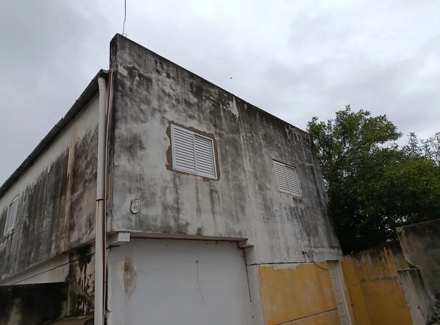Royo Inmobiliaria alquila departamento en P.A de dos dormitorios zona Blas Parera 4