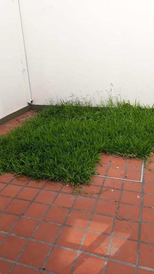 Foto de Royo Inmobiliaria alquila casa en planta baja con patiecito y cochera, imagen 4