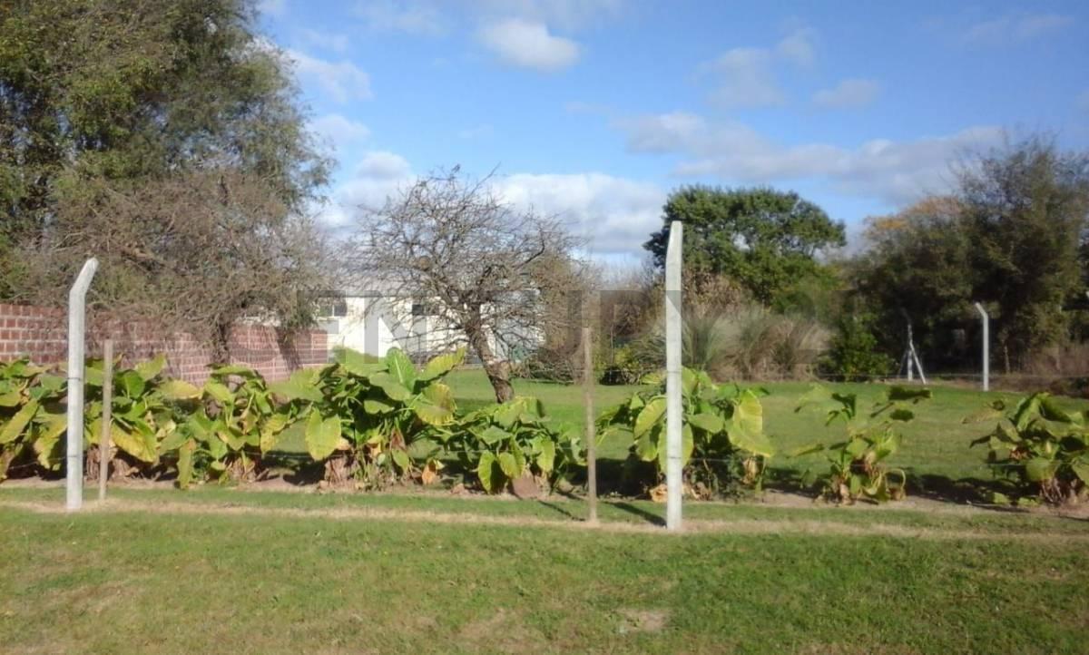 Lote en Venta 5