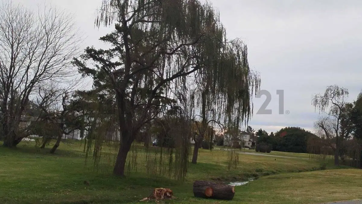VENTA LOTE/TERRENO  EN LUJAN 5
