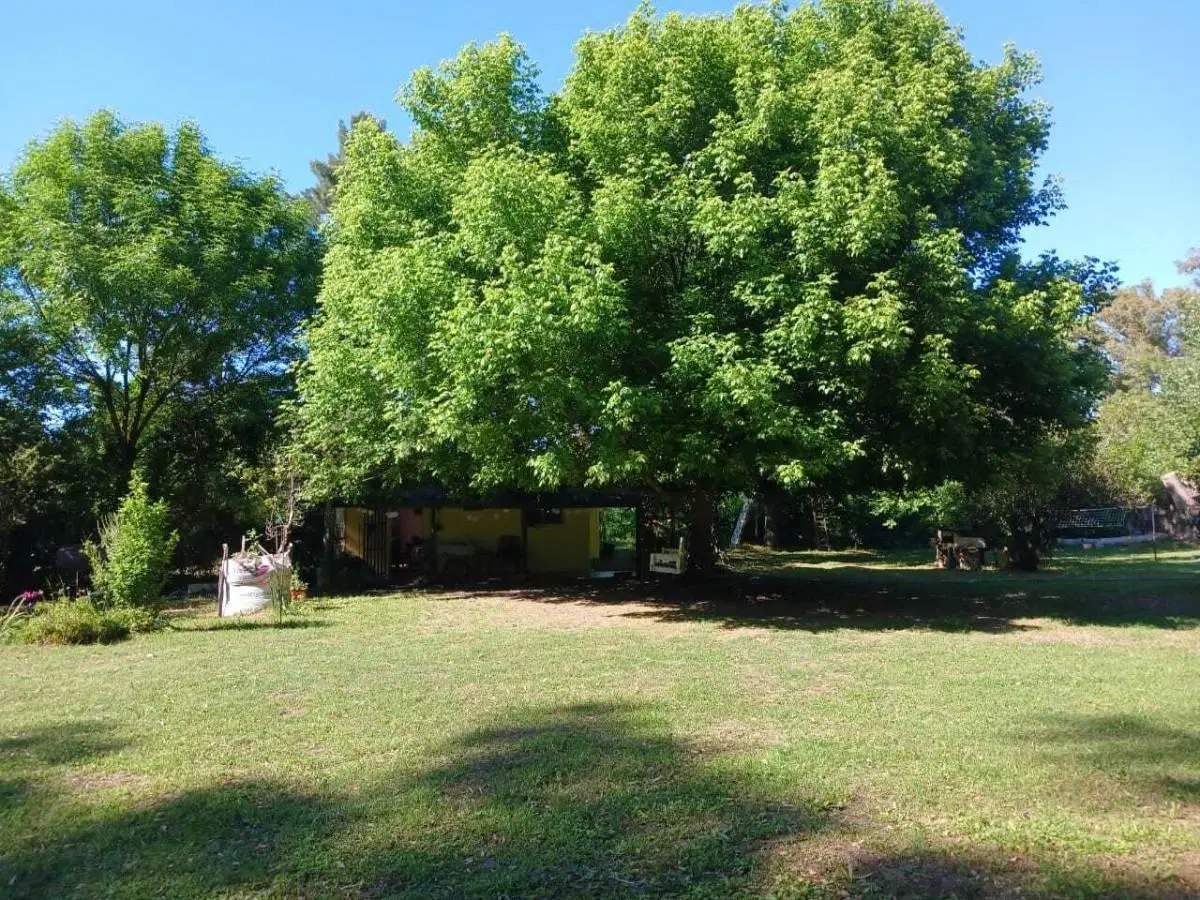 VENTA CHACRA 1 Ha CASA Y ARBOLEDA EN CAÑUELAS 4